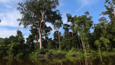 "Direktur Utama Perumda Tirta Khatulistiwa, Abdullah, sebut air gambut saat hujan dan intrusi air laut saat kemarau jadi tantangan utama pengolahan air bersih."