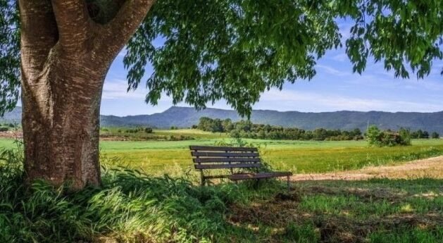 "Sulit fokus saat membaca? Temukan 5 rekomendasi tempat membaca buku paling damai dan tenang untuk meningkatkan imajinasi serta konsentrasi Anda di sini."