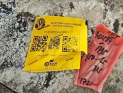 Berlabel Kementerian Kehutanan, Ribuan Kubik Kayu Terdampar di Lampung Diselidiki Polisi