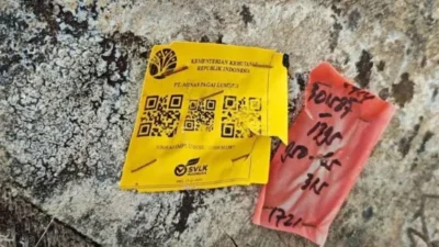 Kayu gelondongan dengan barcode Kemenhut dan PT Minas Pagai Lumber serta logo SVLK (Sistem Verifikasi Legalitas Kayu) sebagai tanda legalitas kayu produksi.