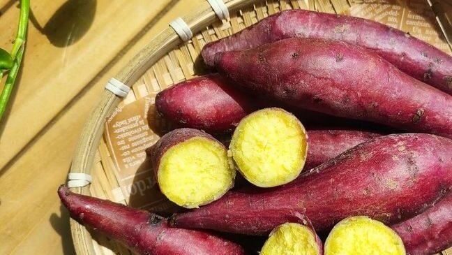 Selain mudah dibudidayakan di halaman rumah, ubi jalar menjadi sumber karbohidrat sehat yang kaya nutrisi untuk keluarga (Dok. Ist)