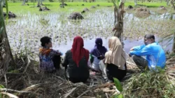 Wali Kota Singkawang, Tjhai Chui Mie, saat meninjau lokasi pembangunan Jaringan Irigasi Air Tanah (JIAT) dan berdialog dengan petani di Kelurahan Naram, Sabtu (6/12).