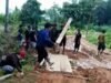 Jalan Rusak Parah, Warga Sepauk Sintang Gotong Royong Tambal Lubang Lumpur dengan Kayu