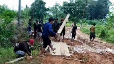 Warga Sepauk, Sintang, gotong royong perbaiki jalan poros SP 3 Bedayan-Desa Libau yang rusak parah. Warga gunakan kayu dan tanah untuk menambal lumpur.