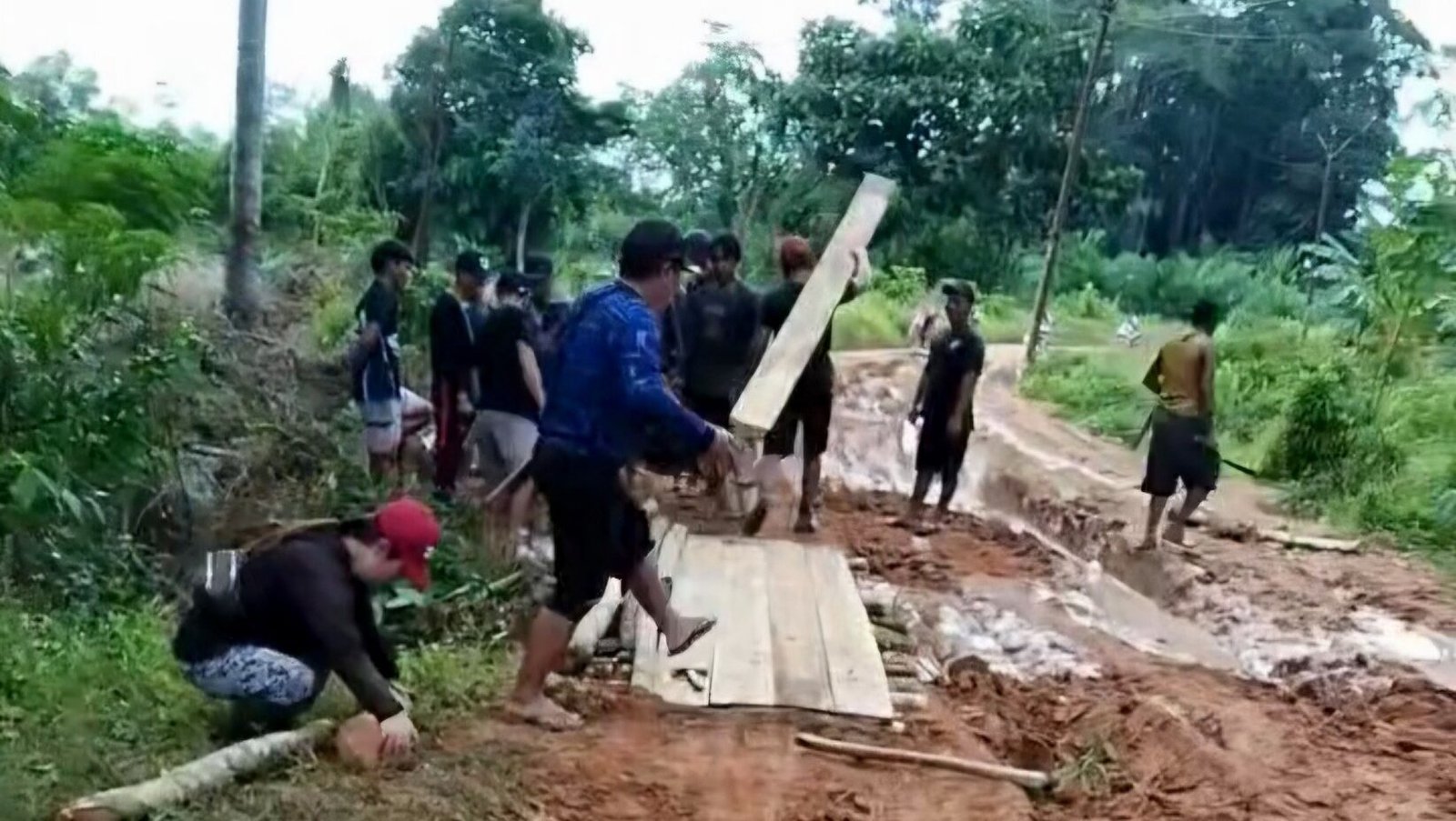 Warga Sepauk, Sintang, gotong royong perbaiki jalan poros SP 3 Bedayan-Desa Libau yang rusak parah. Warga gunakan kayu dan tanah untuk menambal lumpur.