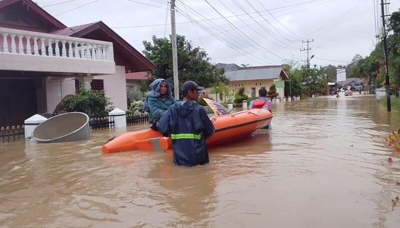 "Waspada penyakit kencing tikus (Leptospirosis) saat musim hujan. Kenali gejala khas nyeri betis dan demam mendadak. Tingkat kematian capai 31 persen."