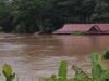 Hujan Deras Picu Banjir di Suti Semarang Bengkayang, Bangunan Sekolah Nyaris Tenggelam