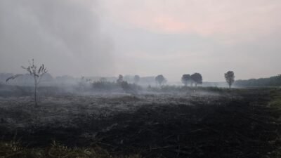 Area lahan yang terbakar di Dusun Kencana Utama, Rabu (28/1). (Dok. HO/Faktakalbar.id)