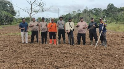 Dukung program ketahanan pangan pemerintah, Polsek Kota Baru tanam jagung hibrida di Tanah Pinoh.