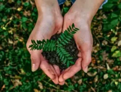 RUU Pengelolaan Perubahan Iklim: Antara Harapan Hijau dan Ujian Amanah