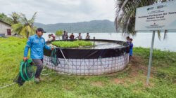 "Panen perdana budidaya ikan lele di Desa Pelapis, Kepulauan Karimata. Melalui program kolam terpal hasil inisiatif warga dan CSR PT Dharma Inti Bersama. (Dok. HO/Faktakalbar.id)"