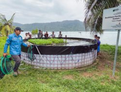 Diversifikasi Ekonomi Nelayan, Warga Desa Pelapis Berhasil Panen Perdana Lele di Pinggir Pantai