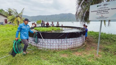 "Panen perdana budidaya ikan lele di Desa Pelapis, Kepulauan Karimata. Melalui program kolam terpal hasil inisiatif warga dan CSR PT Dharma Inti Bersama. (Dok. HO/Faktakalbar.id)"