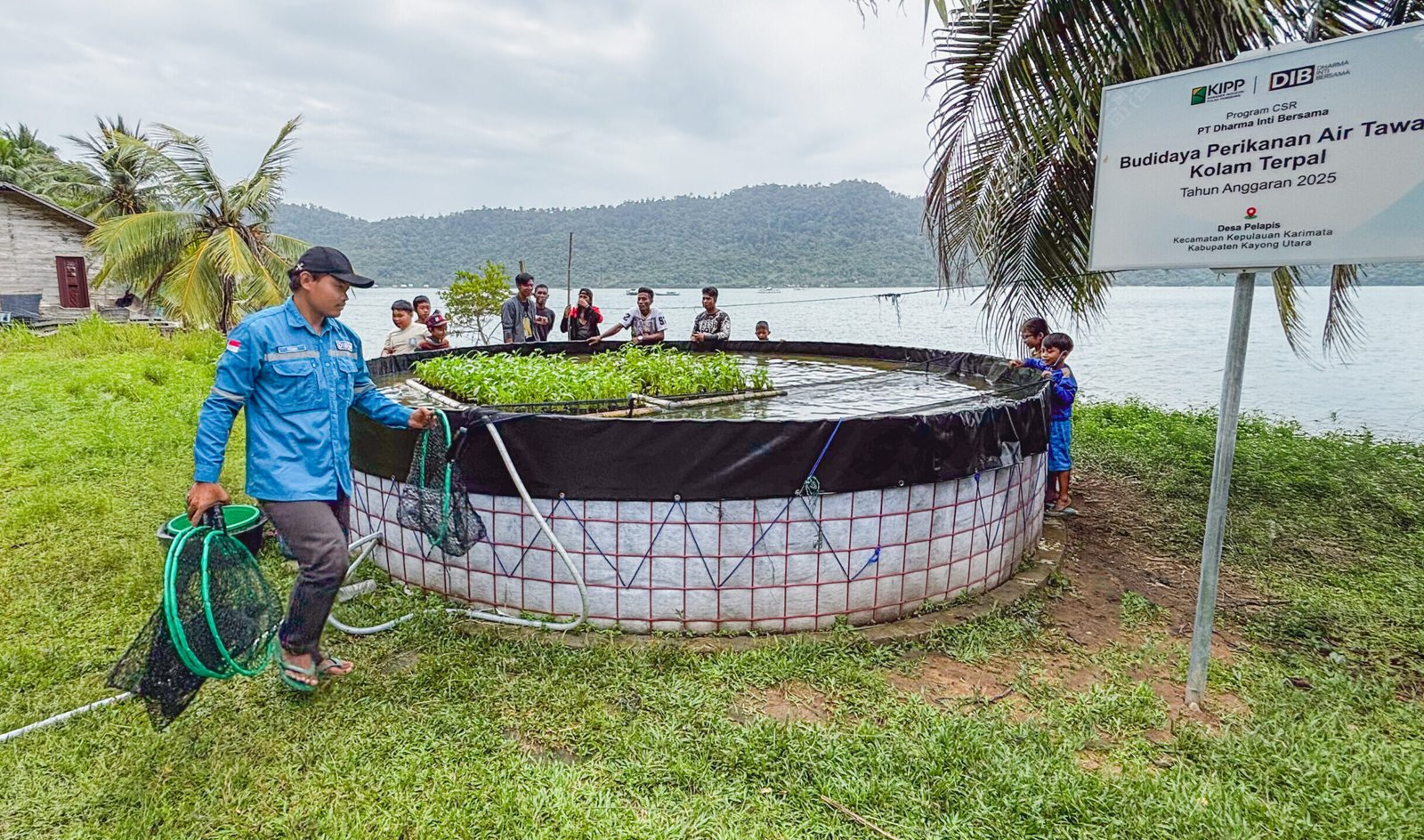 "Panen perdana budidaya ikan lele di Desa Pelapis, Kepulauan Karimata. Melalui program kolam terpal hasil inisiatif warga dan CSR PT Dharma Inti Bersama. (Dok. HO/Faktakalbar.id)"