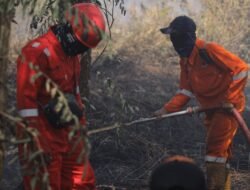 BPBD Pontianak Temukan Botol Bensin, Duga Ada Unsur Sengaja dalam Pembakaran Lahan
