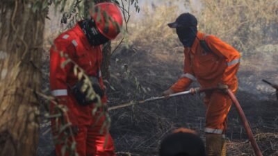 BPBD Pontianak Temukan Botol Bensin, Duga Ada Unsur Sengaja dalam Pembakaran Lahan