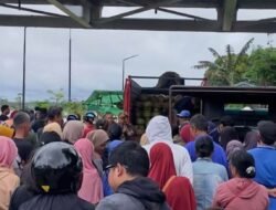 Pertamina Klaim Stok Aman dan Tambah Pasokan, Bupati Kapuas Hulu Minta Polisi Tindak Penimbun LPG 3 Kilogram