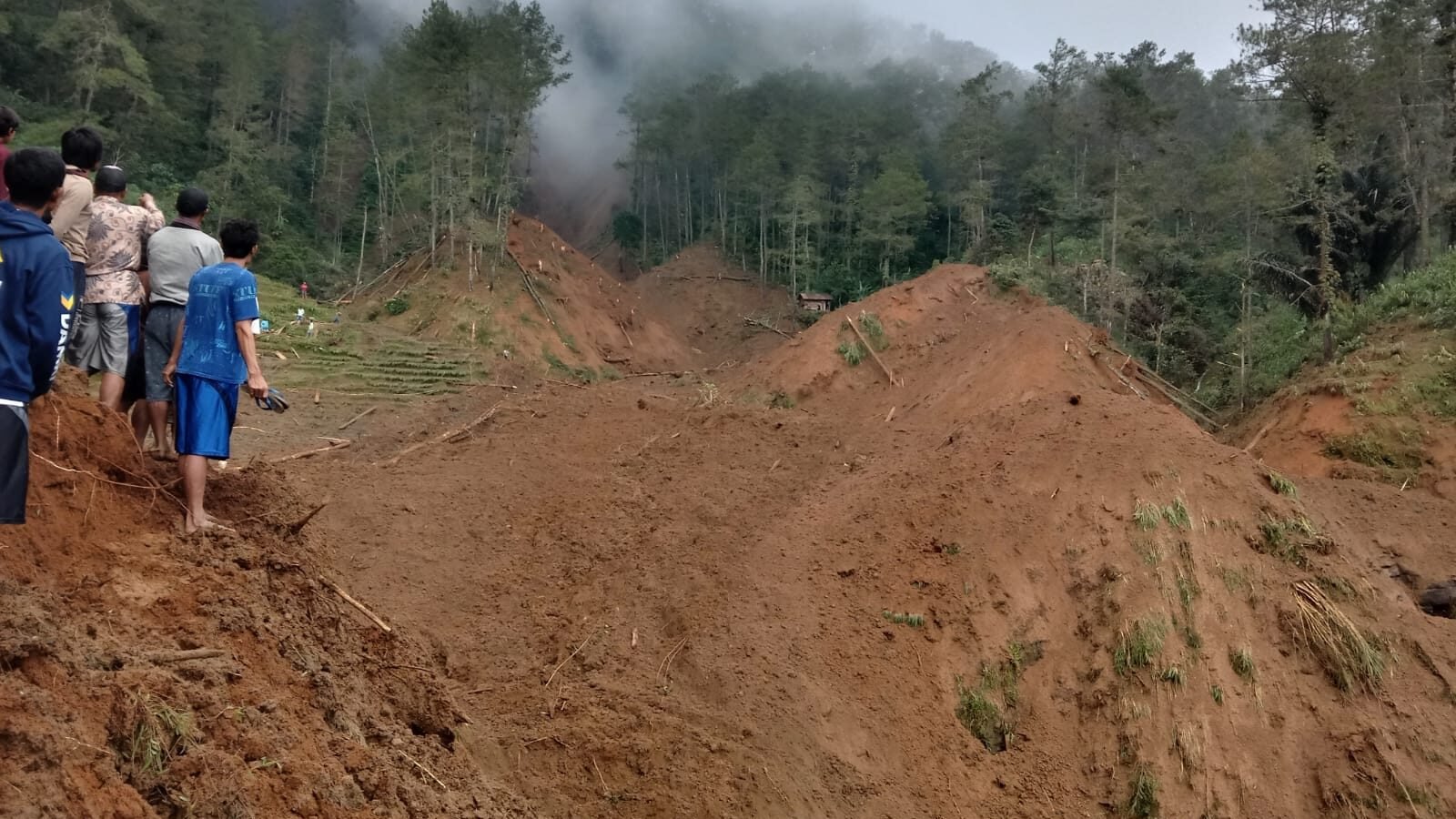 Tanah longsor yang terjadi di area Perhutani Desa Bongas, Kecamatan Watukumpul, Kabupaten Pemalang, Provinsi Jawa Tengah Minggu (25/1) sumber foto BPBD Kabupaten Pemalang