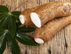 Kekayaan Pangan Lokal: 5 Alasan Mengapa Singkong Sangat Baik untuk Tubuh