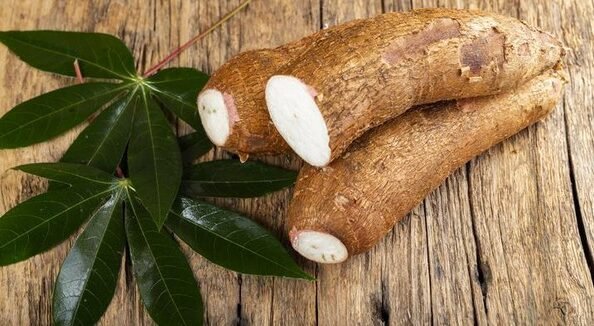 "Singkong bukan sekadar pangan lokal biasa, melainkan superfood alami yang kaya nutrisi. Temukan 5 alasan kesehatan mengapa umbi ini layak menjadi sumber energi utama Anda. "