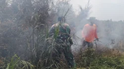 "Kebakaran lahan terjadi di Desa Selakau Tua, Sambas, Sabtu (24/1). Angin kencang dan cuaca panas membuat api nyaris merembet ke pemukiman sebelum dipadamkan petugas gabungan."