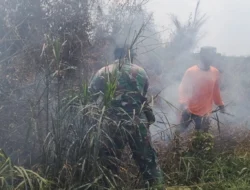 Angin Kencang Picu Kebakaran Lahan di Selakau Tua Sambas, Api Nyaris Dekati Pemukiman