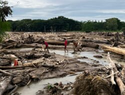 Ini Daftar 28 Perusahaan yang Izinnya Dicabut Prabowo