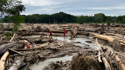 Presiden Prabowo mencabut izin 28 perusahaan di Sumatra terkait dampak banjir. (Dok. Ist)