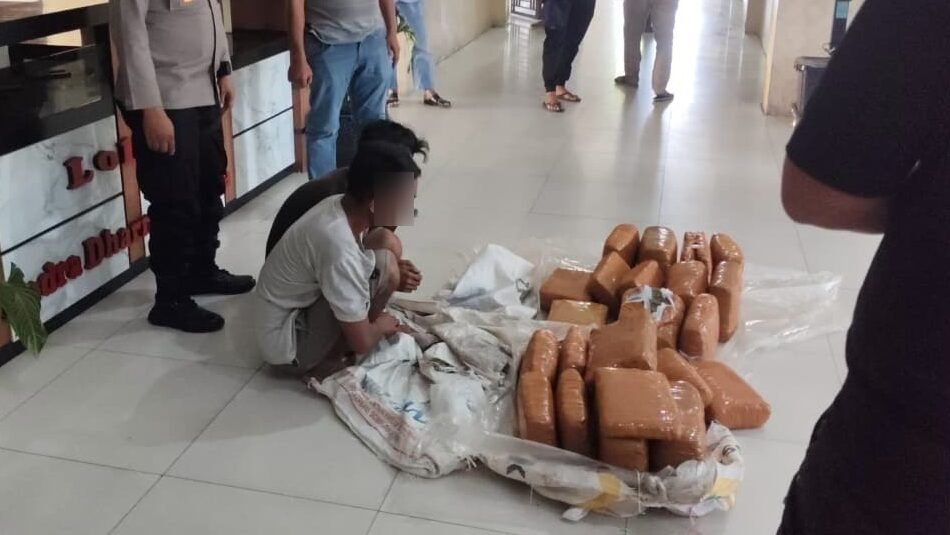 Petugas Polres Aceh Tenggara menunjukkan barang bukti 50,7 kg ganja dan kedua tersangka, Selasa (27/1). (Dok. Ist)