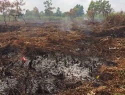 Demi Kesehatan Bayi 4 Bulan, Warga Paris 2 Terpaksa Mengungsi Hindari Kepungan Asap