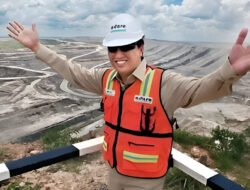 Investor Asing Buru Saham Boy Thohir, Tinggalkan BUMI