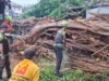Pasca-Angin Kencang, BPBD Bantul dan Warga Gotong Royong Evakuasi Pohon Tumbang