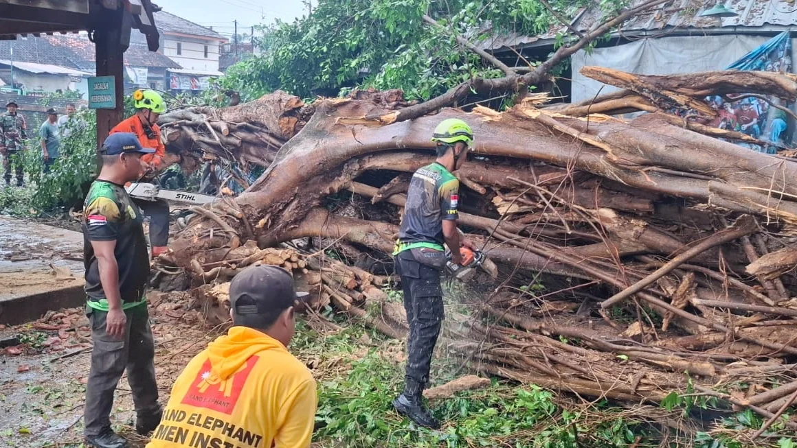 "BPBD Kabupaten Bantul bersama masyarakat melakukan evakuasi terhadap pohon tumbang diwilayah terdampak angin kencang, pada Kamis (29/12026)."