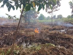 Terik dan Masih Berasap, BPBD Pontianak Terus ‘Rolling’ Pantau Sisa Karhutla di Ujung Paris 2