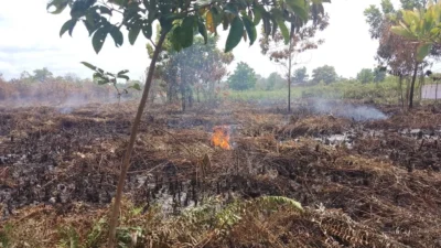 Terik dan Masih Berasap, BPBD Pontianak Terus ‘Rolling’ Pantau Sisa Karhutla di Ujung Paris 2