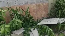 "Gempa M 4,8 guncang Kalbar. Warga Mabang, Sintang laporkan keramik dinding rumah rontok akibat getaran dahsyat. Simak kondisi terkini."