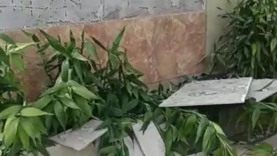 "Gempa M 4,8 guncang Kalbar. Warga Mabang, Sintang laporkan keramik dinding rumah rontok akibat getaran dahsyat. Simak kondisi terkini."