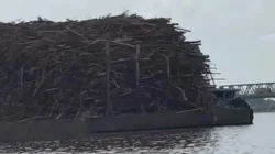 "BREAKING NEWS: Tongkang bermuatan kayu akasia tersangkut di bawah Jembatan Tol Landak. Polairud Polda Kalbar amankan kapal, PUPR cek kondisi jembatan."