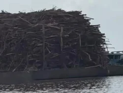 BREAKING NEWS: Tongkang Bermuatan Kayu Tersangkut di Jembatan Tol Landak, Kapal Diamankan Polairud