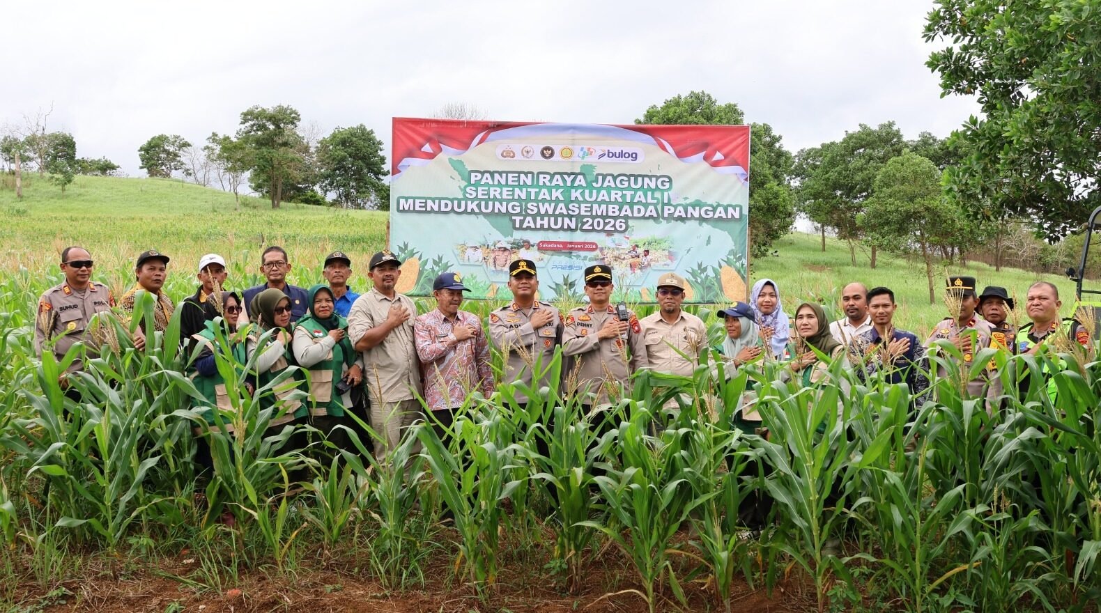 "Bukit Merindu di Kayong Utara resmi jadi role model pertanian jagung. Simak strategi daerah dukung swasembada pangan dan target ekspor nasional 2026."