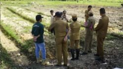 Bupati Landak, Karolin Margret Natasa, didampingi jajaran Pemkab dan pengurus HKTI saat meninjau lahan percontohan tanaman kedelai di Jelimpo, Senin (19/1).