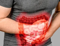 7 Tanda Kemungkinan Ususmu Bocor: Waspadai Sinyal Tersembunyi dari Tubuh