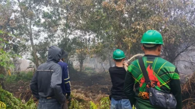 Cuaca Panas dan Jeda Hujan Picu Karhutla, DLHK Kalbar Gencar Padamkan Api di Kubu Raya
