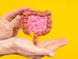 5 Jenis Makanan yang Wajib Dibatasi demi Usus yang Lebih Sehat