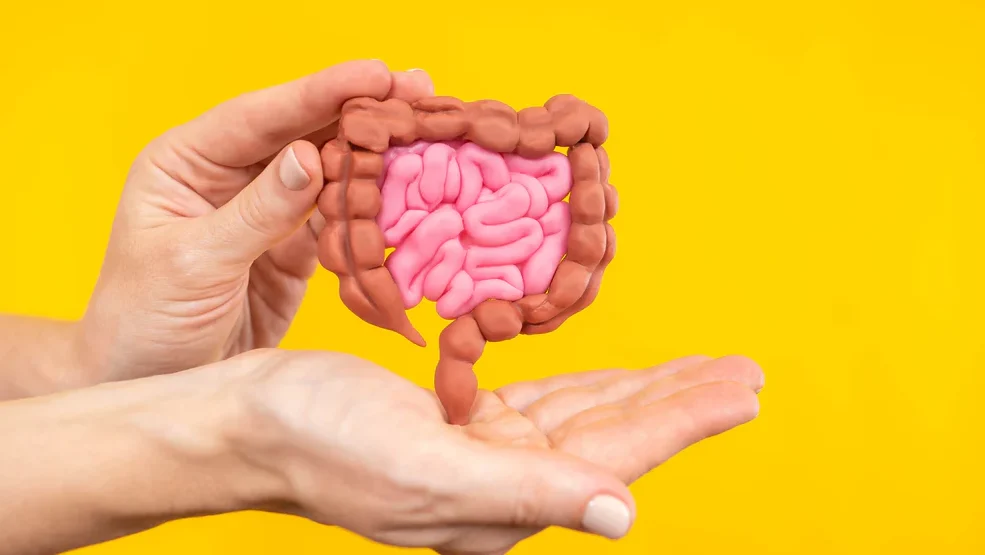 "Ingin usus sehat? Simak daftar makanan yang harus dihindari demi menjaga mikrobioma usus dan mencegah peradangan menurut penjelasan medis terkini."