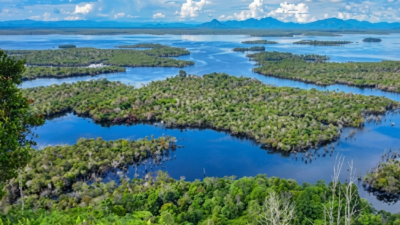 Taman Nasional Danau Sentarum yang menjadi inspirasi nama calon kabupaten baru. (Dok. Ist)