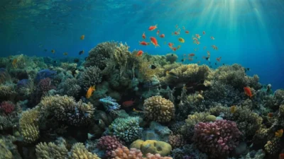 "Indonesia adalah jantung Segitiga Terumbu Karang dunia. Dari Raja Ampat hingga Wakatobi, inilah 7 laut dengan lanskap bawah air paling memukau yang wajib masuk bucket list Anda."