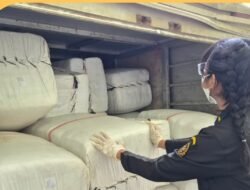 Tembus Pasar Malaysia, 3 Ton Daun Cincau Kalbar Diekspor Lewat PLBN Entikong