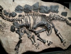 Fosil Dinosaurus Raksasa Ditemukan di Gurun Mesir