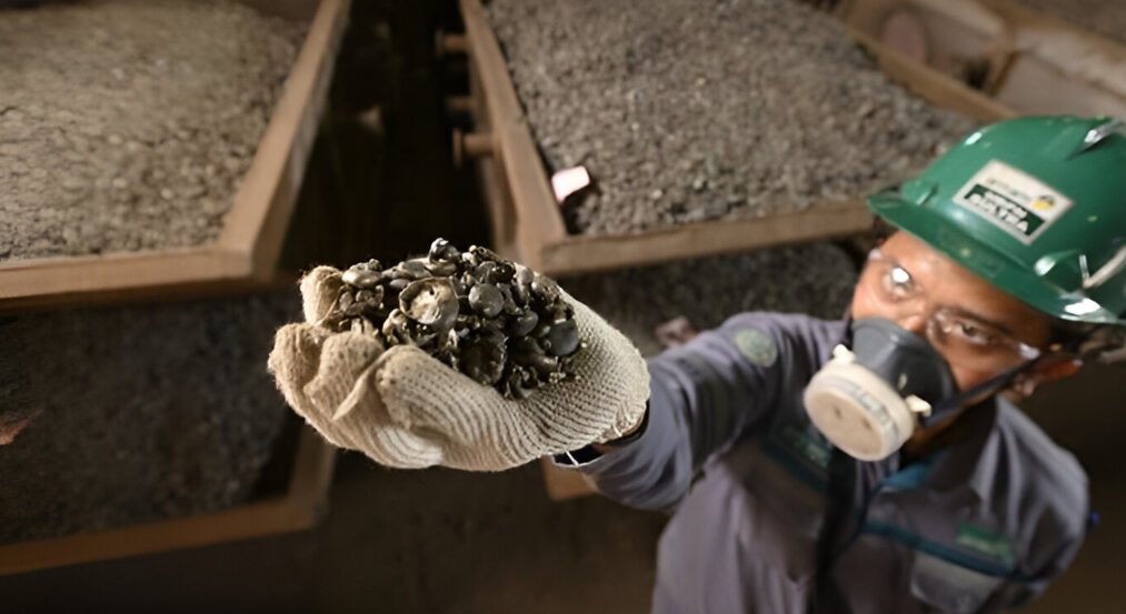 Kalbar dapat jatah investasi Rp77 triliun lewat dua proyek smelter di Mempawah dan Ketapang. (Dok. Ist)